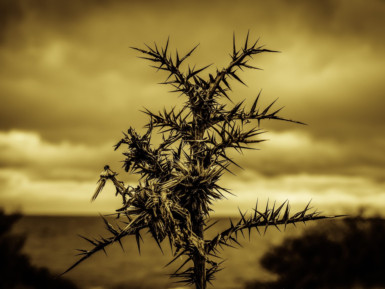 ホームホワイトニングの体験談で痛みを感じた人の実際の声は？