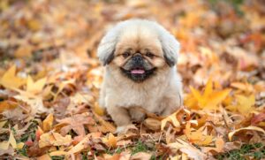 ホームホワイトニングの効果が上がらない理由とは？