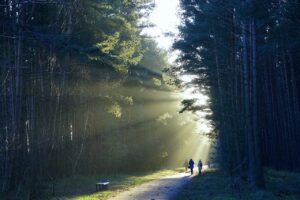 ホームホワイトニングの効果を最大化する方法は？